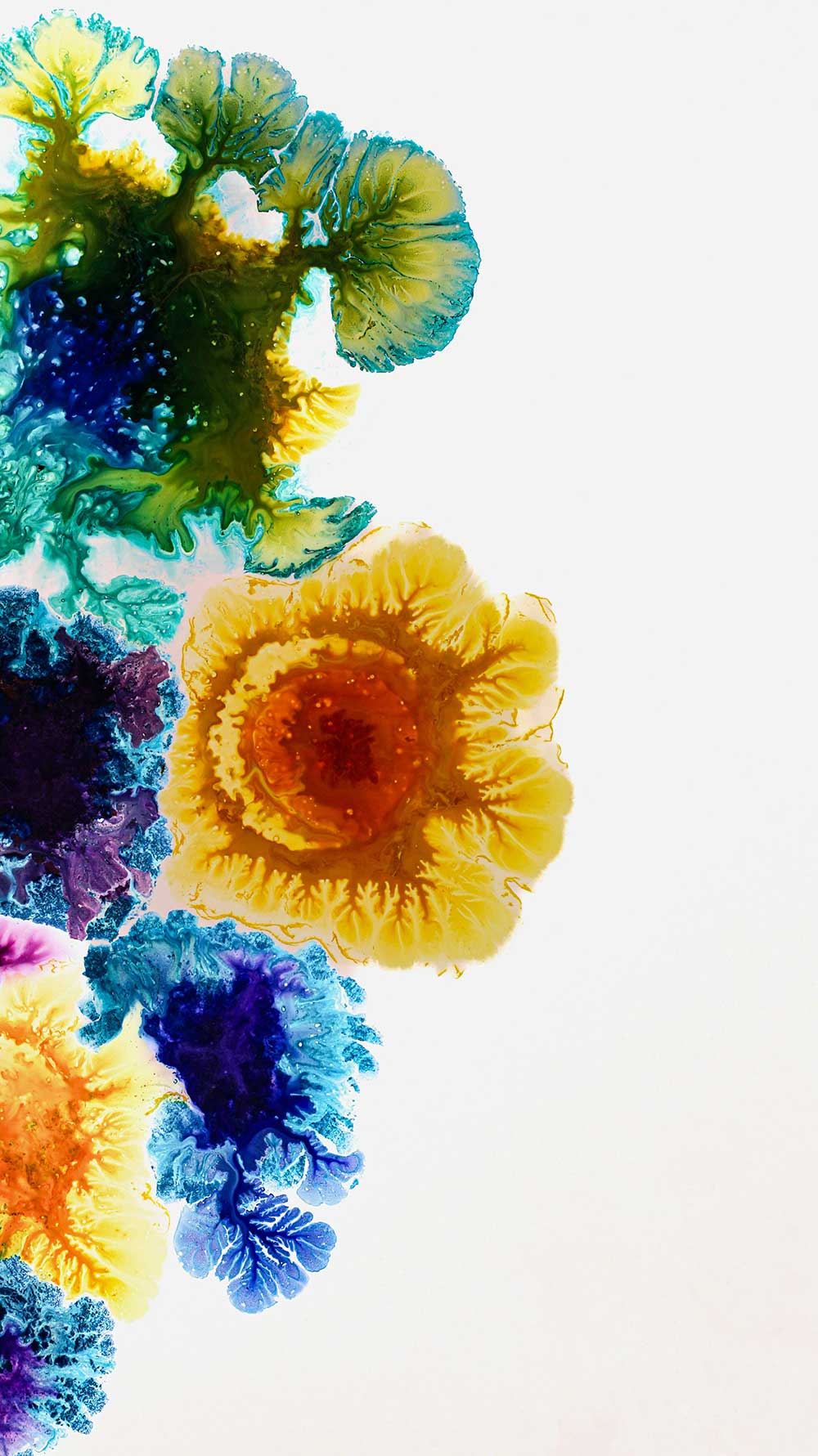 Philosophy and Experience