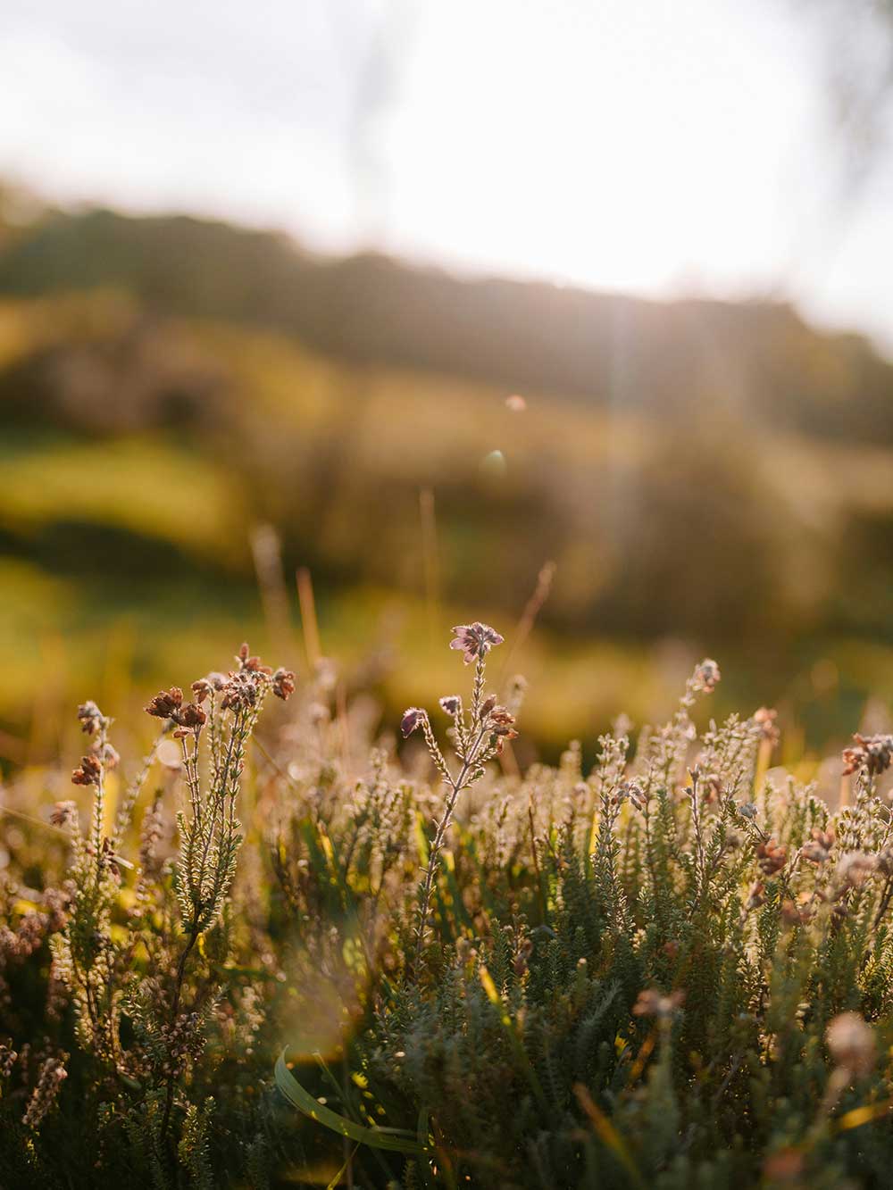 Austin group psychotherapy serving Downtown University Hill, Westcroft Eastwood neighborhoods with accessible therapy locations nearby